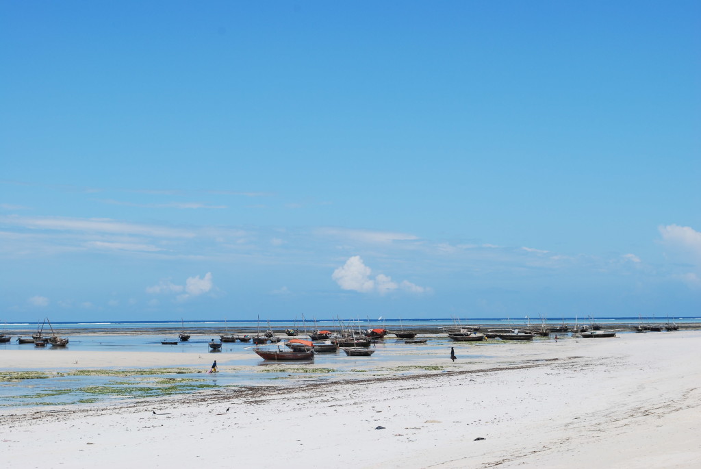 Il Fenomeno Delle Maree A Zanzibar