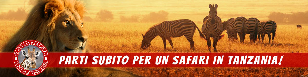 Prenota il tuo safari in Tanzania