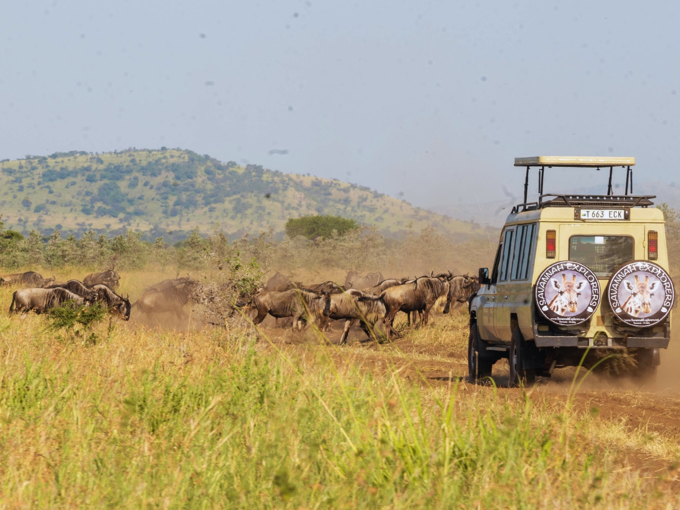 Il Clima in Tanzania: nei Parchi e a Zanzibar